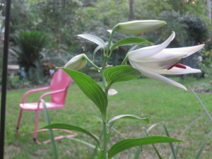 Is it Easter?  Does that mean it is time for Spring Break?